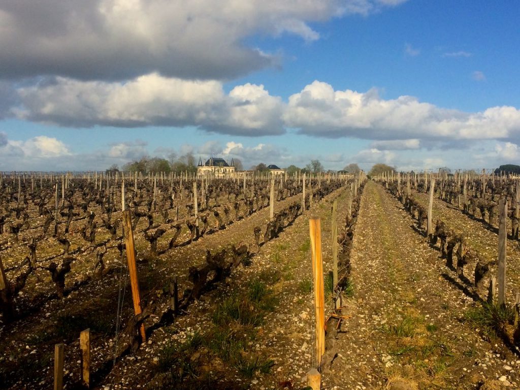 A view of Palmer from Rauzan Segla: two gorgeous Margaux in 2015